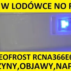 Woda w lodówce? Zdiagnozuj i napraw problem krok po kroku!