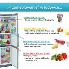 Gdzie najzimniej w lodówce? Przechowuj żywność jak ekspert!