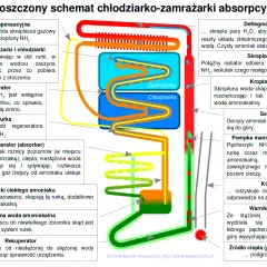 Jak działa zamrażarka? Odkryj sekrety chłodzenia i oszczędzaj energię