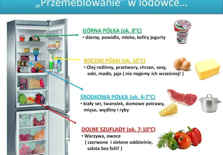Gdzie najzimniej w lodówce? Przechowuj żywność jak ekspert!