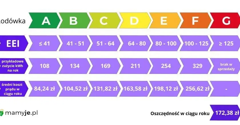 Lodówka klasy F: Zużycie prądu, koszty i czy warto ją kupić?