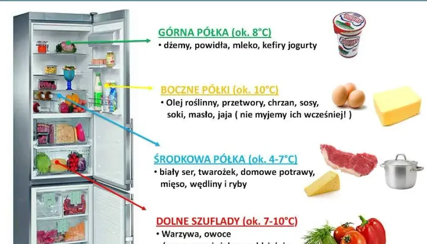 Gdzie najzimniej w lodówce? Przechowuj żywność jak ekspert!
