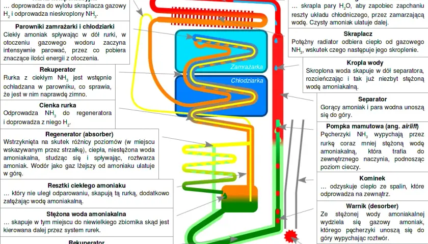 Jak działa zamrażarka? Odkryj sekrety chłodzenia i oszczędzaj energię