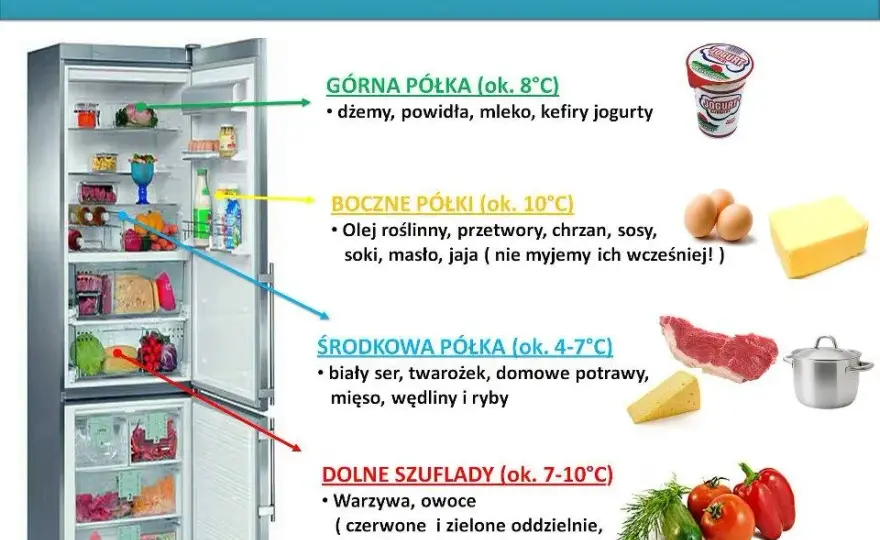 Gdzie najzimniej w lodówce? Przechowuj żywność jak ekspert!