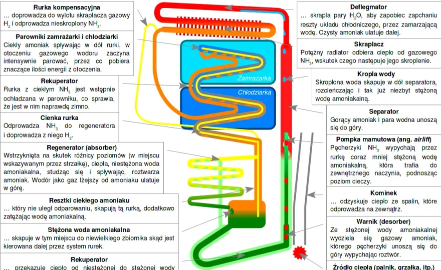 Jak działa zamrażarka? Odkryj sekrety chłodzenia i oszczędzaj energię
