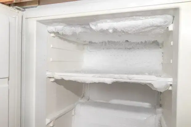 szron w zamrażarce kontra czysta zamrażarka no frost