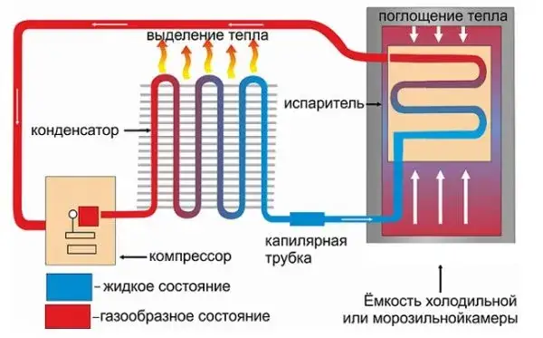 Cykl pracy lodówki schemat